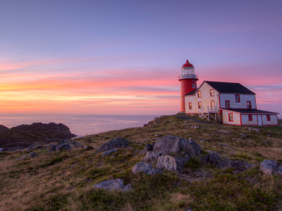 Newfoundland newly found...